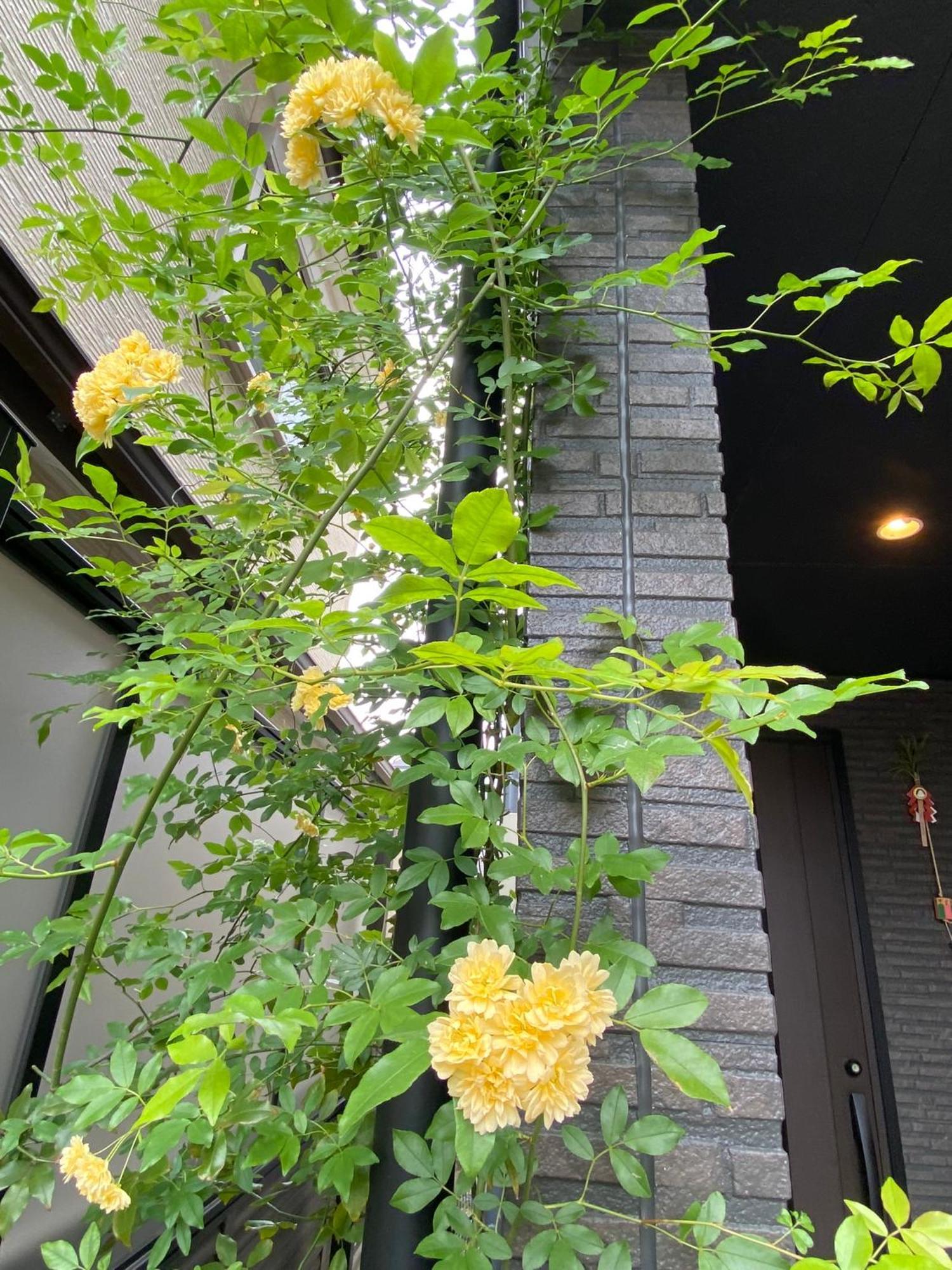 Hotel 遥華-Haruka House à Kyoto Extérieur photo